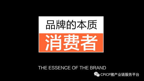 肖一刀 从无到有，打造猪肉品牌的创新之路