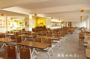 科学膳食助力成长 翼众教育餐饮服务体系创新与实践